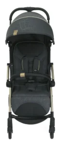 Chicco Gold Plus, Melhor carrinho de bebê para viagem de avião